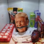 Donald Trump's head refrigerator