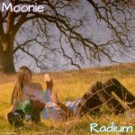 moons n radium - wolf n salem temp meme