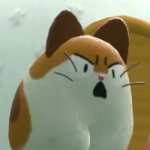 Nago suprised template