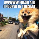 happy dog | AWWWW FRESH AIR
I POOPED IN THE SEAT | image tagged in happy dog | made w/ Imgflip meme maker
