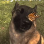 Ragebait doesn’t work on me :)