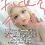 Henrik Overgaard nægter sig skyldig i overgreb men udtaler at ha