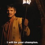 I'll be your champion