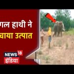 Pagal Haati Ne Machya Utpaat