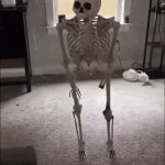 Skeleton Damn