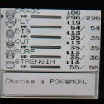 Pokemon Red Team
