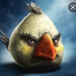 realistic angry bird