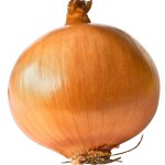 Onion