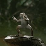 dancing frog GIF Template