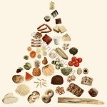 Food Mirror Image Mode