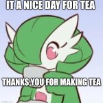 Gardevoir sipping tea | IT A NICE DAY FOR TEA; THANKS YOU FOR MAKING TEA | image tagged in gardevoir sipping tea | made w/ Imgflip meme maker