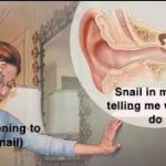 Snail in ear