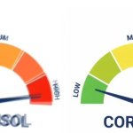 high vs low cortisol