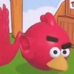 angry bird ear