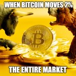 WHEN BITCOIN MOVES 2%, THE ENTIRE MARKET | WHEN BITCOIN MOVES 2%; THE ENTIRE MARKET | image tagged in bitcoin bull bear,bear,bull,market,bitcoin | made w/ Imgflip meme maker