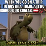 We know we won't be able to find kangaroos or koalas in Austria! Not because its name sounds similar to Australia. | WHEN YOU GO ON A TRIP TO AUSTRIA, THERE ARE NO KANGAROOS OR KOALAS. 🇦🇹🚫🦘🐨 | image tagged in what is this place,austria,no kangaroos or koalas in austria,koala,kangaroo,confusion | made w/ Imgflip meme maker