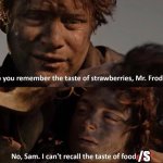 Sam and Frodo remember the taste