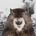 Shellshocked Marmot