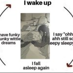 Sleeping cycle meme
