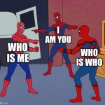 Spider Man Triple | I AM YOU; WHO IS ME; WHO IS WHO | image tagged in spider man triple | made w/ Imgflip meme maker