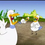 Three Laughing Ducks meme