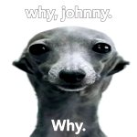 Why johnny, why.
