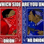 Choose a side | ONION; NO ONION | image tagged in which side are you on,onion,onions,memes,vegetable,vegetables | made w/ Imgflip meme maker