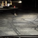 ::music intensifies::