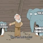 POV: MEDICAL ELECTRONICS | *ECE,E&I
‎ 
‎ 
‎ 
‎ 
*BIOMEDICAL
ENGINEERING; *MEDICAL
ELECTRONICS | image tagged in family guy penguin cross elephant | made w/ Imgflip meme maker