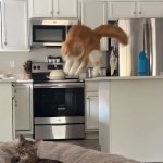 Interrupted thinking