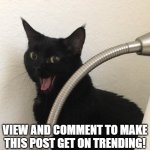 Get this to 1000 views! | VIEW AND COMMENT TO MAKE THIS POST GET ON TRENDING! | image tagged in surprised happy cat | made w/ Imgflip meme maker