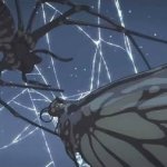 spider x butterfly