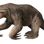 Megalonyx