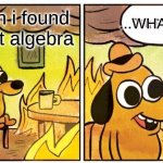 AAAAHHAHAHHA | ...WHAT IS THIS; me when i found out about algebra | image tagged in memes,this is fine | made w/ Imgflip meme maker