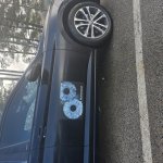 Slavic Life Movement meme