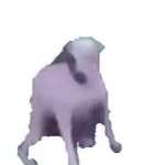 dog getting fast food GIF Template