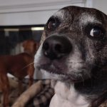 It's your reflection