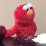 Elmo Choosing Cockayne