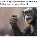 We Taught This Chimpanzee