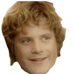 Samwise happy