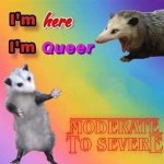 i'm here i'm queer