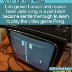 MATRIX! AI! COMPUTER!