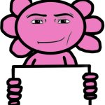 Axil template template