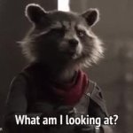 what am i looking at GIF Template