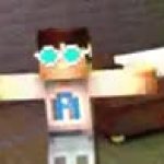 Party Minecraft meme