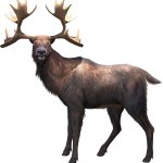 Cervalces gallicus (JWA Design)