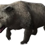 Arctodus (JWTG Design)