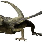 Coelurosauravus (JWA Design)