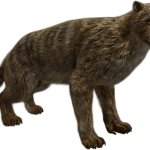 Thylacoleo 2 (JWA Design)