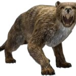 Thylacoleo 3 (JWA Design)